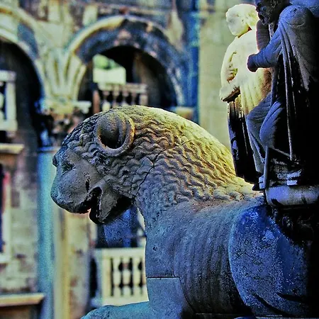 Lavanda 2 * 斯普利特